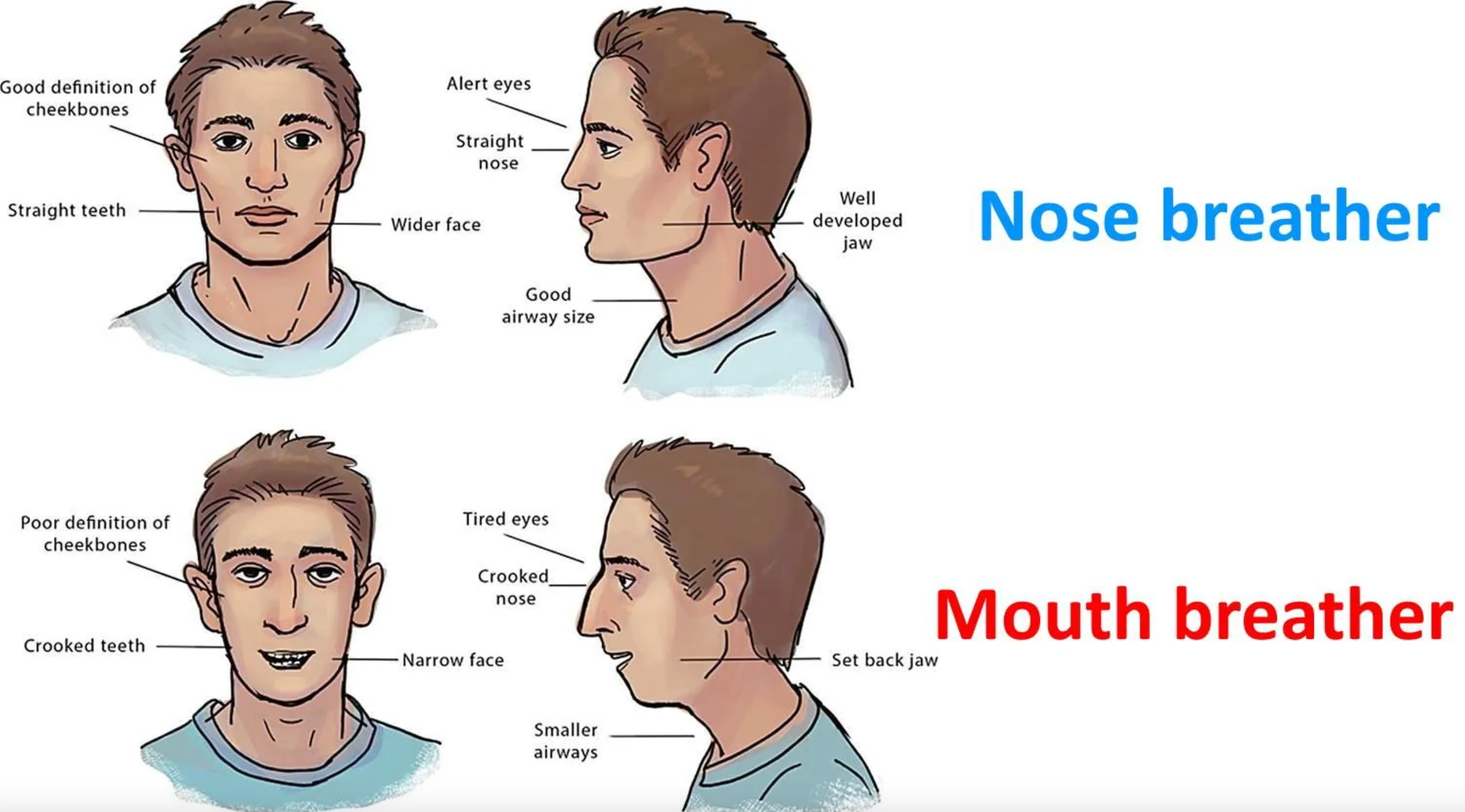 Nasal Breathing Vs. Mouth Breathing